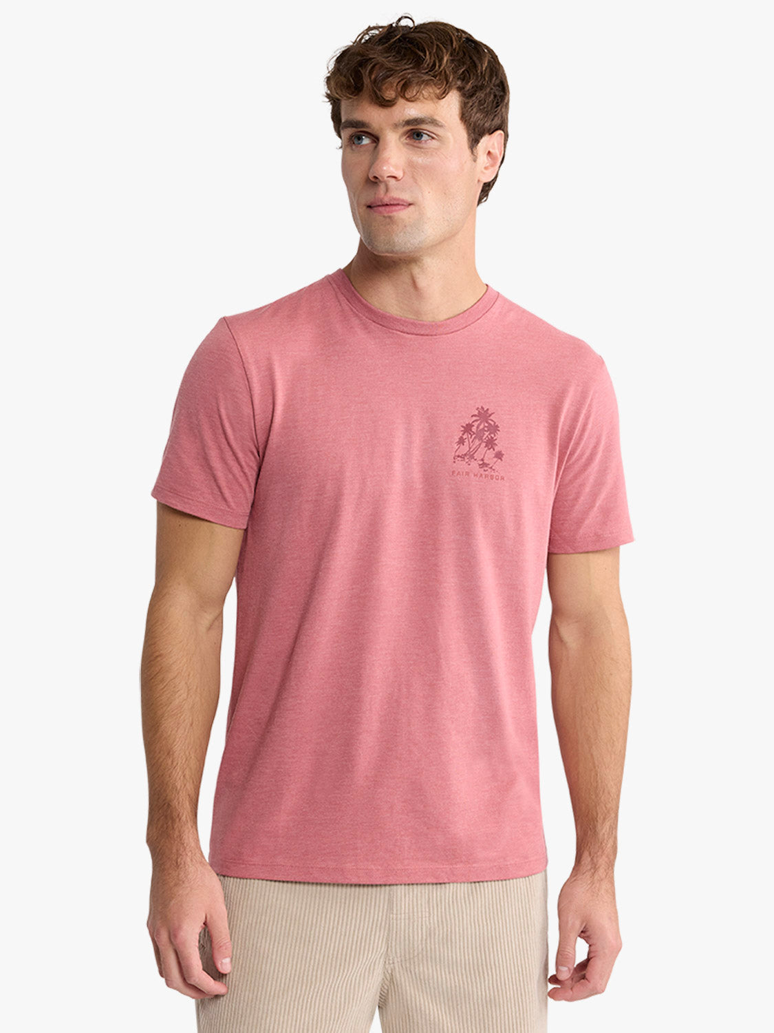 Fair Harbor Kismet Graphic Tee - Retro Palms