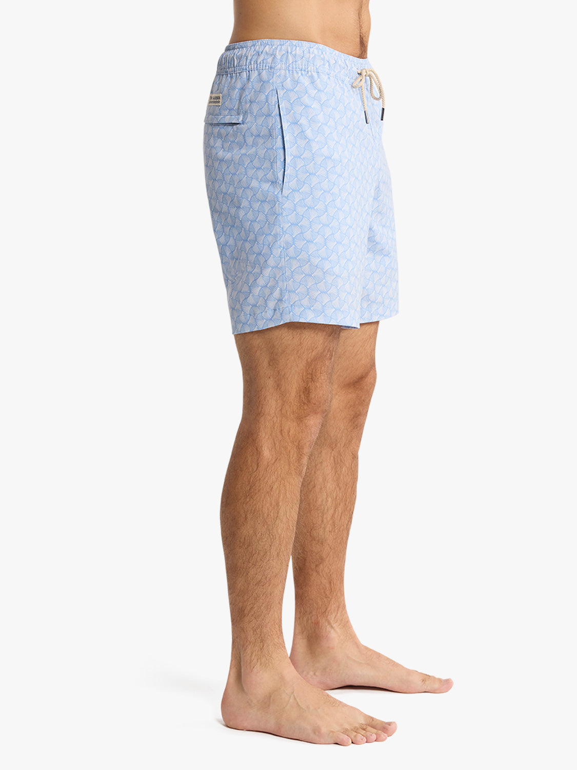 Fair Harbor Bayberry Trunk - Sky Blue Shells