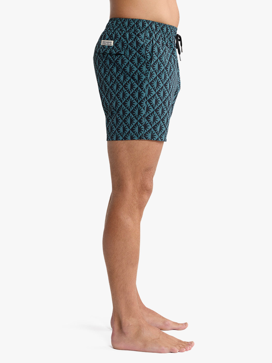 Fair Harbor Bungalow Trunk - Seapine Suns